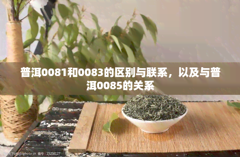 普洱0081和0083的区别与联系，以及与普洱0085的关系