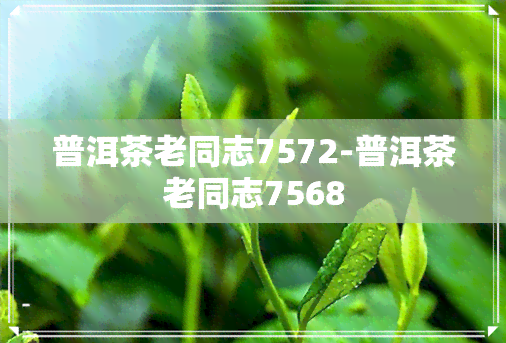 普洱茶老同志7572-普洱茶老同志7568