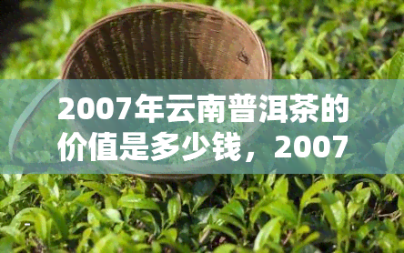 2007年云南普洱茶的价值是多少钱，2007年普洱茶价值：当年价格多少？