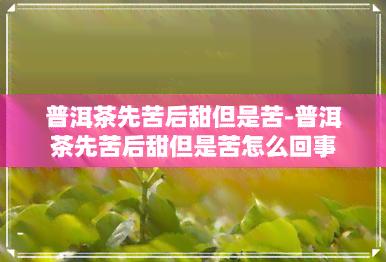 普洱茶先苦后甜但是苦-普洱茶先苦后甜但是苦怎么回事