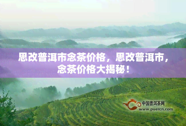 思改普洱市念茶价格，思改普洱市，念茶价格大揭秘！