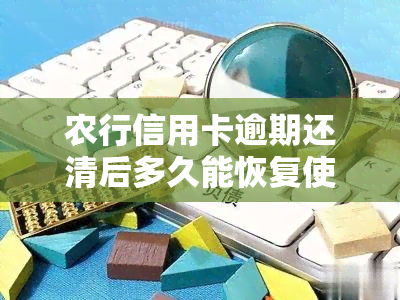 农行信用卡逾期还清后多久能恢复使用及额度？