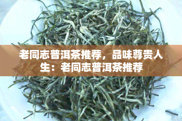 老同志普洱茶推荐，品味尊贵人生：老同志普洱茶推荐