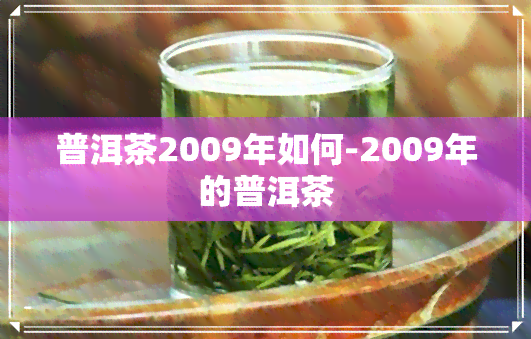 普洱茶2009年如何-2009年的普洱茶