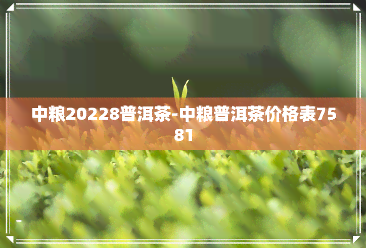 中粮20228普洱茶-中粮普洱茶价格表7581