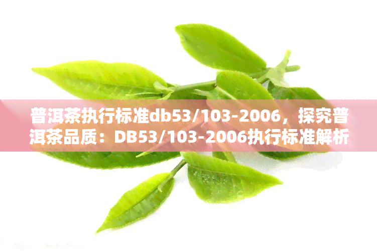 普洱茶执行标准db53/103-2006，探究普洱茶品质：DB53/103-2006执行标准解析