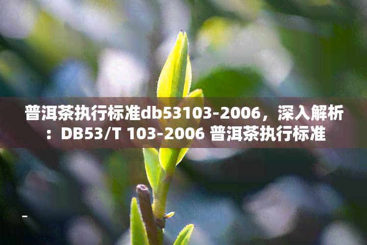 普洱茶执行标准db53103-2006，深入解析：DB53/T 103-2006 普洱茶执行标准