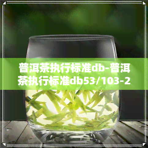 普洱茶执行标准db-普洱茶执行标准db53/103-2006