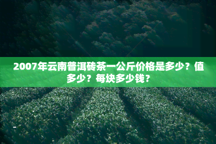 2007年云南普洱砖茶一公斤价格是多少？值多少？每块多少钱？