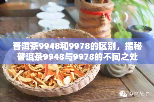 普洱茶9948和9978的区别，揭秘普洱茶9948与9978的不同之处