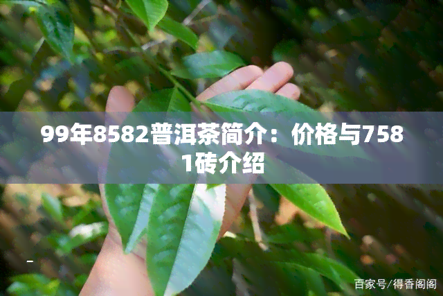 99年8582普洱茶简介：价格与7581砖介绍