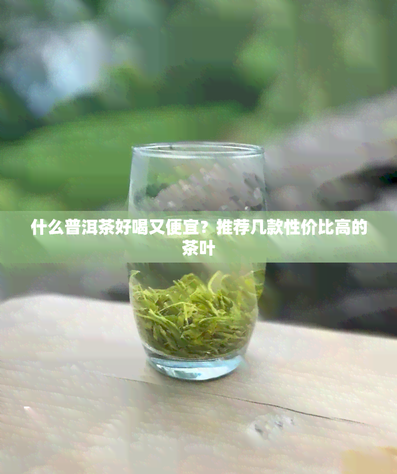 什么普洱茶好喝又便宜？推荐几款性价比高的茶叶