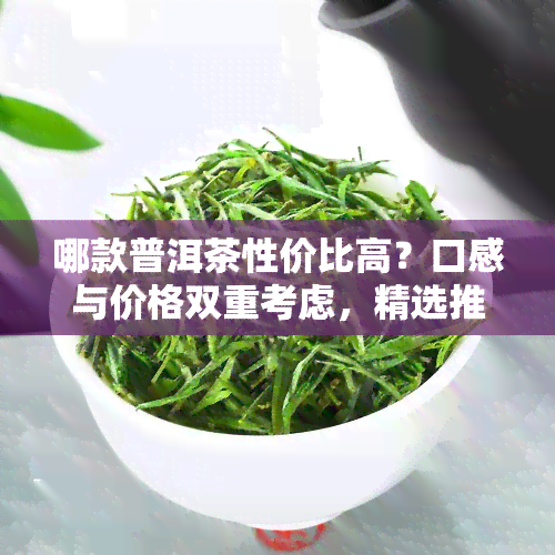 哪款普洱茶性价比高？口感与价格双重考虑，精选推荐！