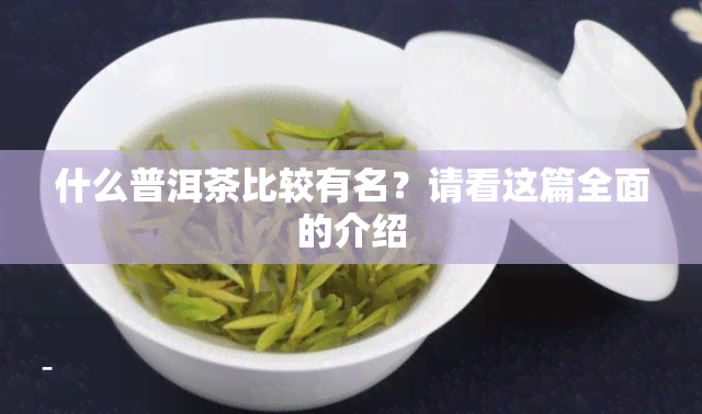 什么普洱茶比较有名？请看这篇全面的介绍