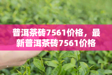 普洱茶砖7561价格，最新普洱茶砖7561价格表，一目了然！