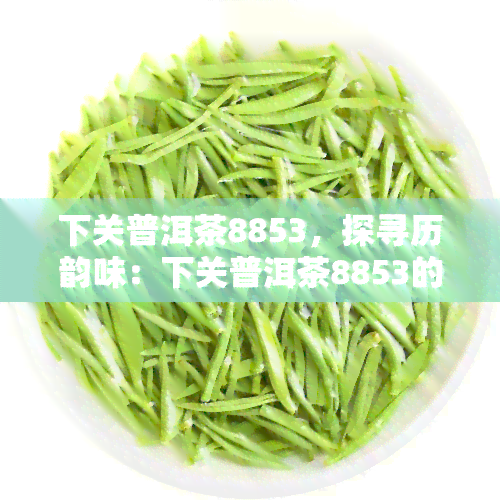 下关普洱茶8853，探寻历韵味：下关普洱茶8853的独特魅力