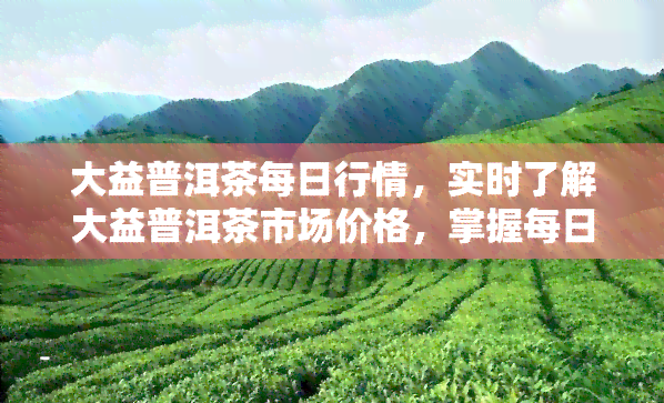 大益普洱茶每日行情，实时了解大益普洱茶市场价格，掌握每日行情变化