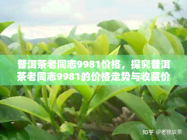 普洱茶老同志9981价格，探究普洱茶老同志9981的价格走势与收藏价值