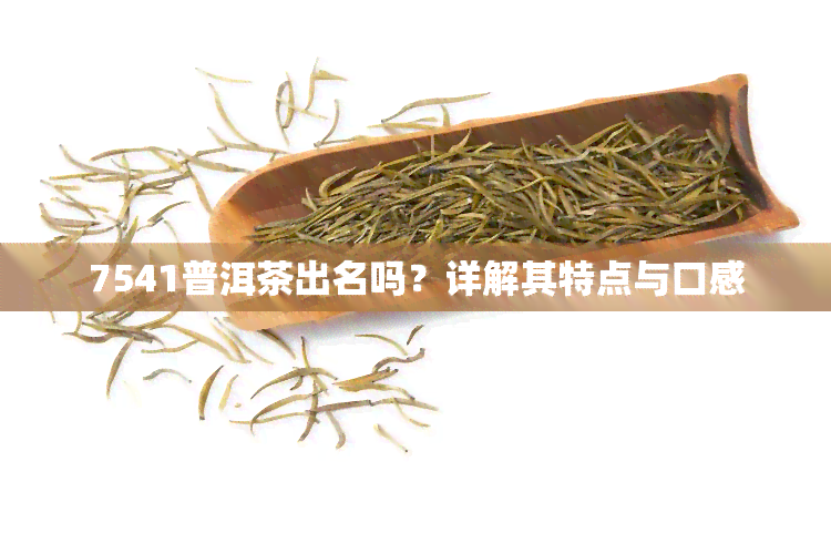 7541普洱茶出名吗？详解其特点与口感