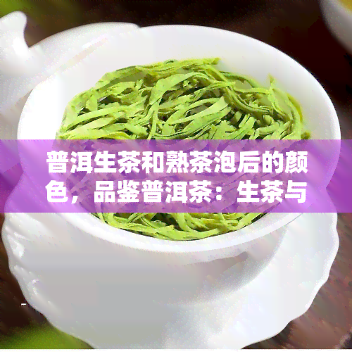 普洱生茶和熟茶泡后的颜色，品鉴普洱茶：生茶与熟茶的色泽对比