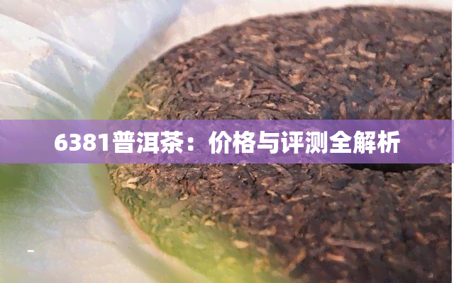 6381普洱茶：价格与评测全解析