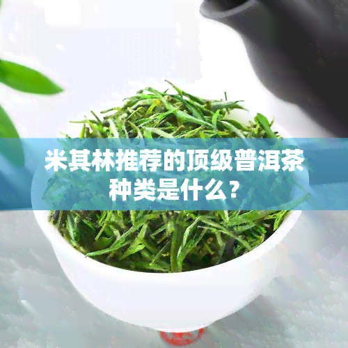 米其林推荐的顶级普洱茶种类是什么？