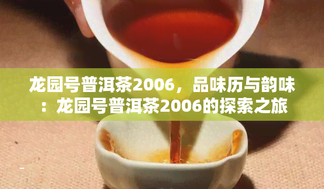 龙园号普洱茶2006，品味历与韵味：龙园号普洱茶2006的探索之旅