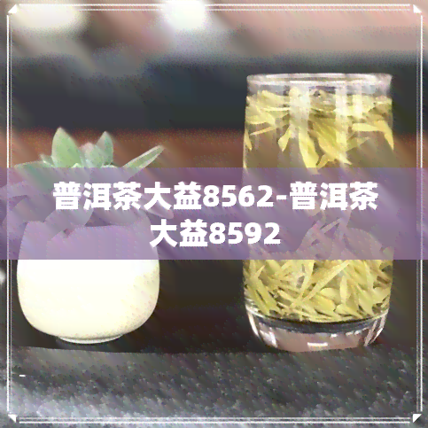 普洱茶大益8562-普洱茶大益8592