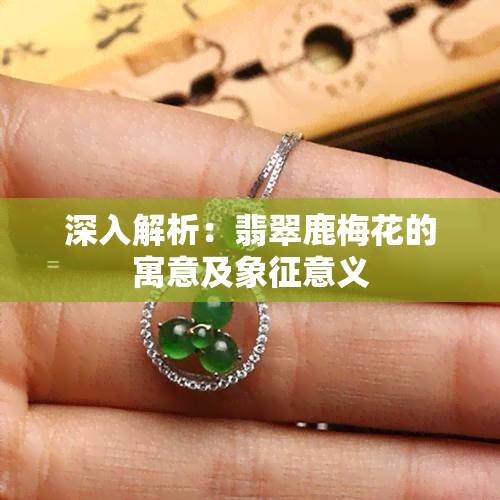 深入解析：翡翠鹿梅花的寓意及象征意义