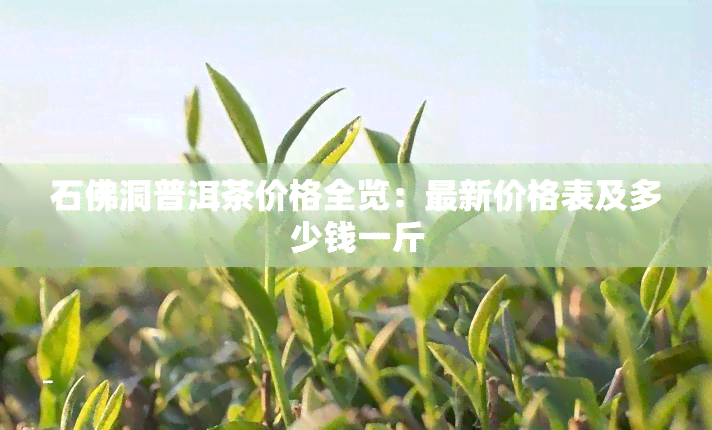 石佛洞普洱茶价格全览：最新价格表及多少钱一斤