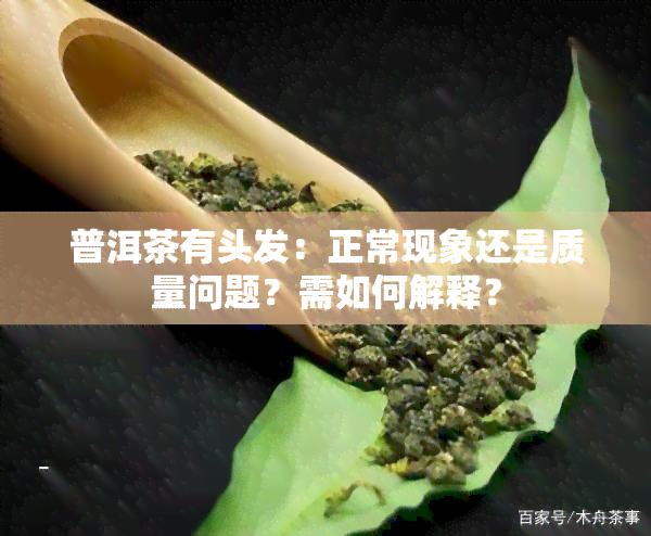 普洱茶有头发：正常现象还是质量问题？需如何解释？