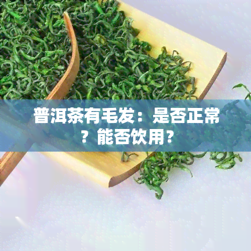 普洱茶有毛发：是否正常？能否饮用？