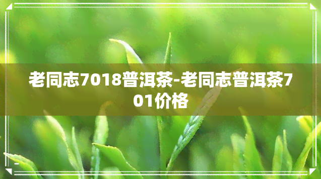 老同志7018普洱茶-老同志普洱茶701价格