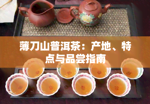 薄刀山普洱茶：产地、特点与品尝指南