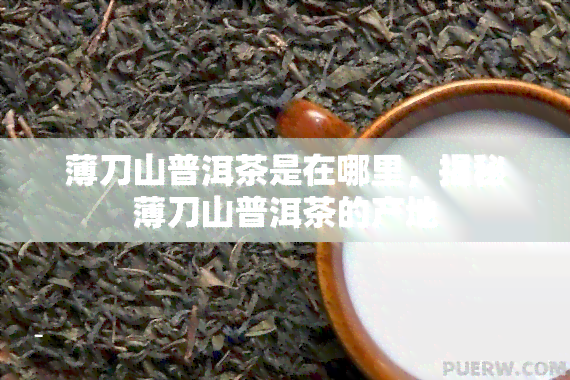 薄刀山普洱茶是在哪里，揭秘薄刀山普洱茶的产地