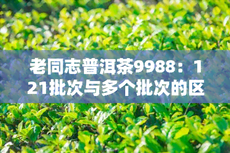 老同志普洱茶9988：121批次与多个批次的区别与特点