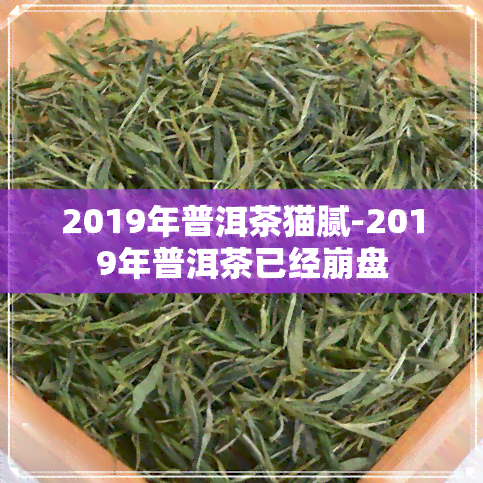 2019年普洱茶猫腻-2019年普洱茶已经 *** 