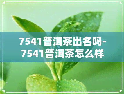 7541普洱茶出名吗-7541普洱茶怎么样