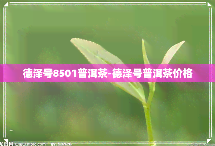 德泽号8501普洱茶-德泽号普洱茶价格