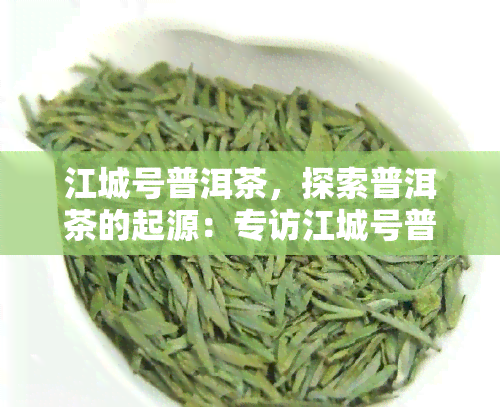 江城号普洱茶，探索普洱茶的起源：专访江城号普洱茶