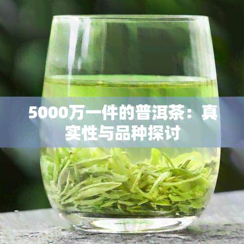 5000万一件的普洱茶：真实性与品种探讨