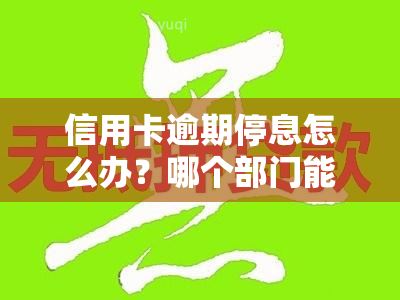 信用卡逾期停息怎么办？哪个部门能解决？