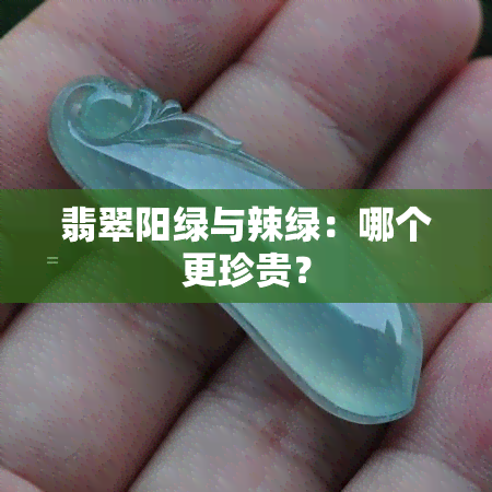 翡翠阳绿与辣绿：哪个更珍贵？