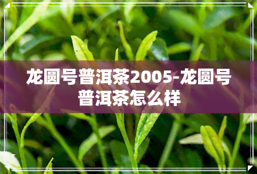 龙圆号普洱茶2005-龙圆号普洱茶怎么样