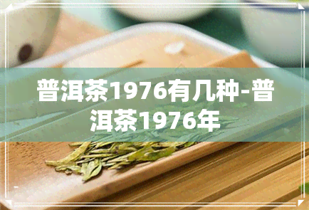 普洱茶1976有几种-普洱茶1976年