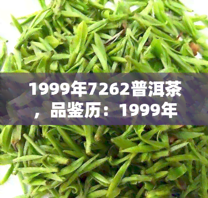 1999年7262普洱茶，品鉴历：1999年7262普洱茶的独特韵味与价值