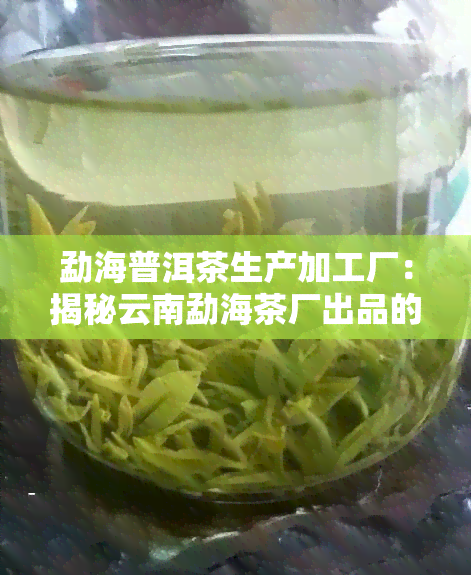 勐海普洱茶生产加工厂：揭秘云南勐海茶厂出品的优质普洱茶