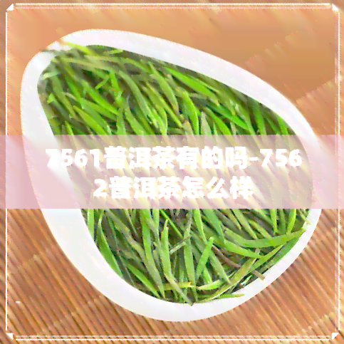 7561普洱茶有的吗-7562普洱茶怎么样