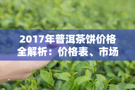 2017年普洱茶饼价格全解析：价格表、市场走势及大概价位一览