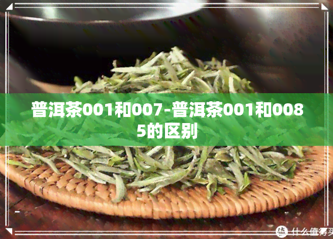 普洱茶001和007-普洱茶001和0085的区别